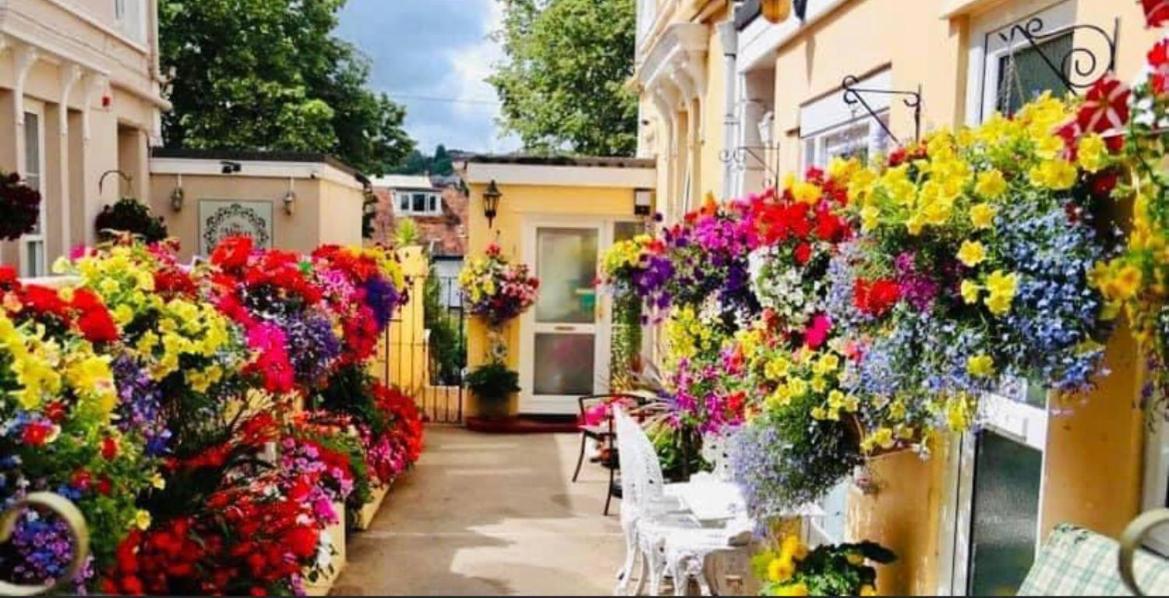 Crowndale Torquay - Exclusively For Adults Bed & Breakfast エクステリア 写真