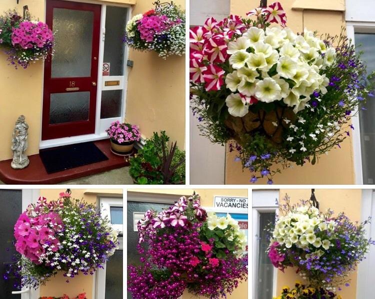 Crowndale Torquay - Exclusively For Adults Bed & Breakfast エクステリア 写真