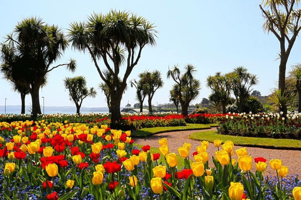 Crowndale Torquay - Exclusively For Adults Bed & Breakfast エクステリア 写真