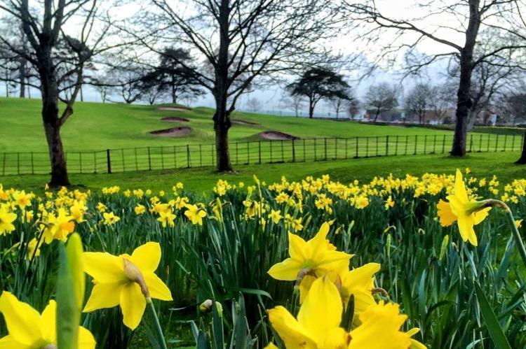 Crowndale Torquay - Exclusively For Adults Bed & Breakfast エクステリア 写真