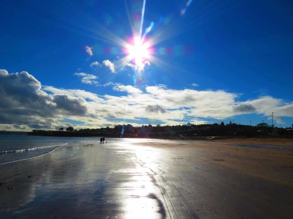 Crowndale Torquay - Exclusively For Adults Bed & Breakfast エクステリア 写真