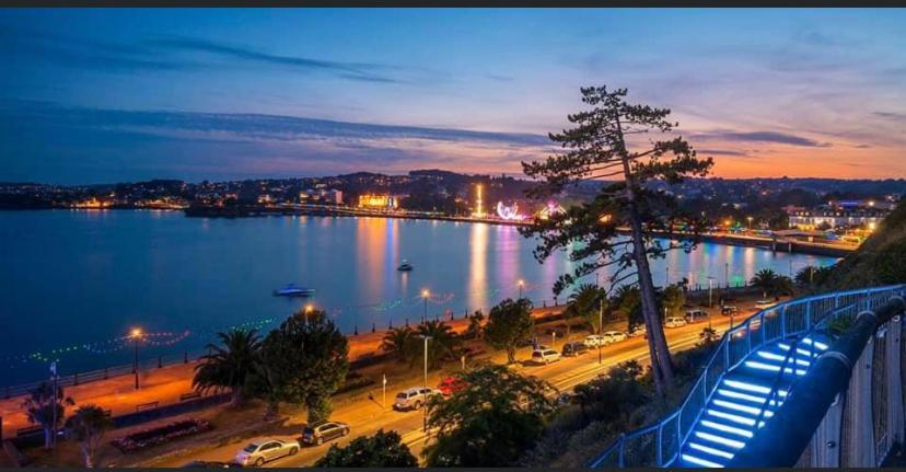 Crowndale Torquay - Exclusively For Adults Bed & Breakfast エクステリア 写真